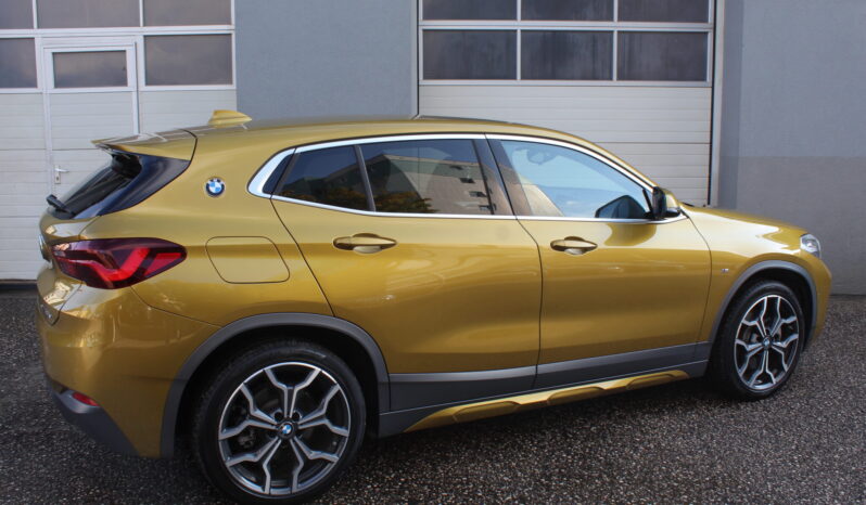 BMW X2 xDrive25e PHEV M-Paket Aut. full