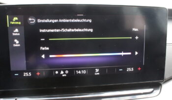 Skoda Octavia Combi 2,0 TDI Style DSG *Topausstattung* full