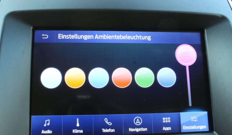Ford S-MAX Titanium 2.0 EcoBlue Aut. *7-SITZER* full