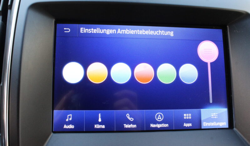 Ford Galaxy 2,0 EcoBlue Vignale Aut. *7-SITZER* full